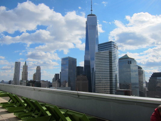 Amenities gallery - 4 of 5 - NYC tribeca neighborhood skyline